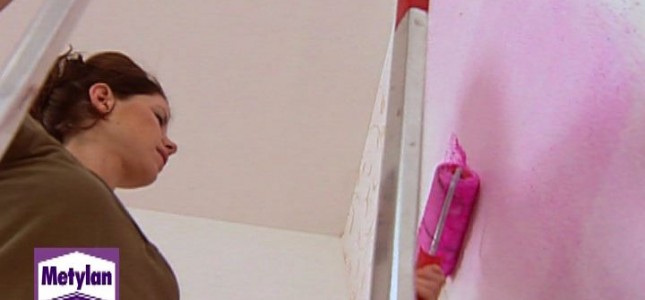 Metylan Pink 2