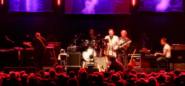 Zappanale Festival